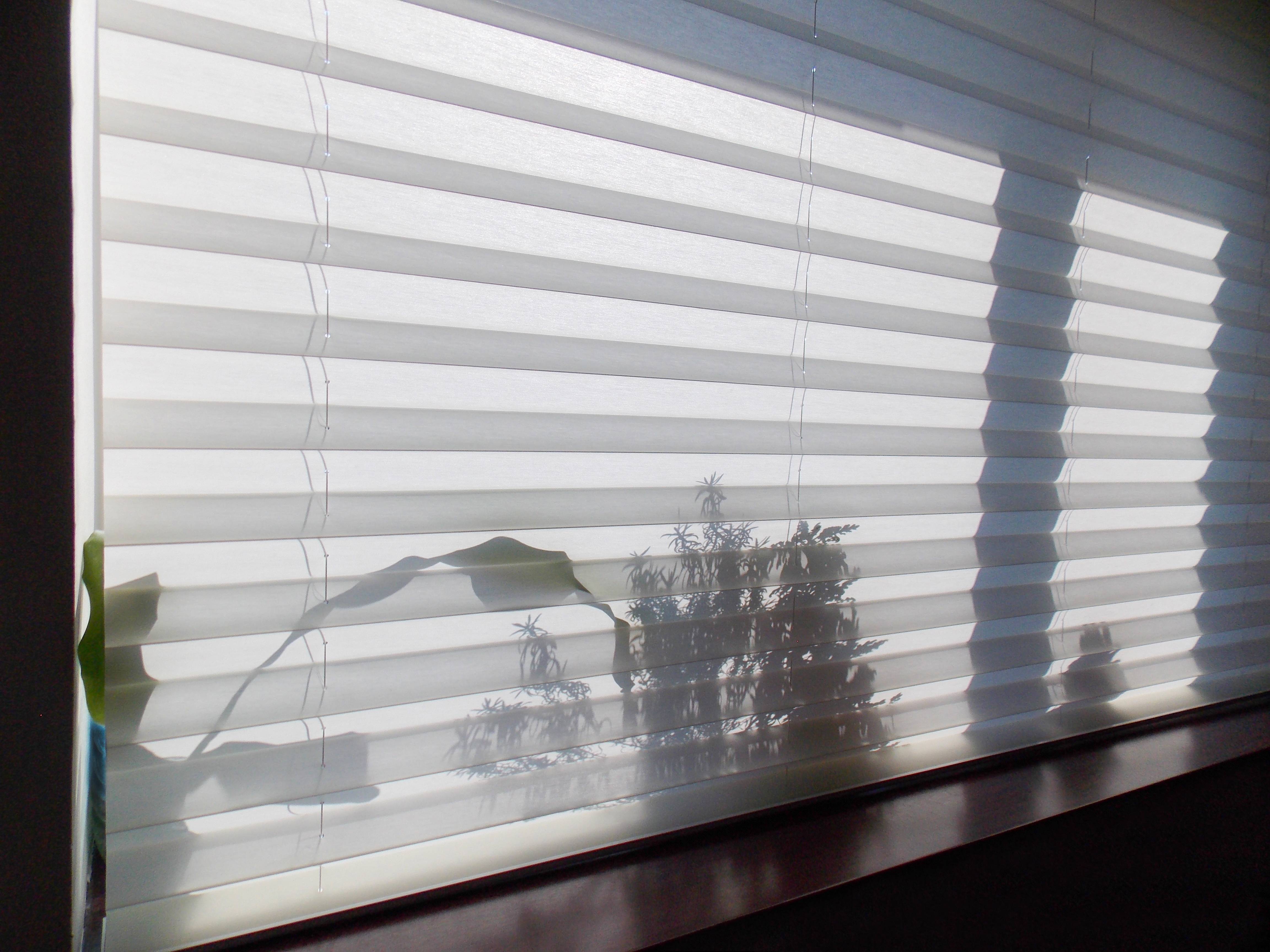 Close-up image of a large window with energy-efficient window shades and plant shadows behind it at Signature Shutters & Blinds near Moraine, OH