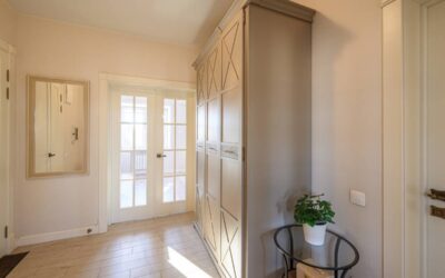 What are the Best Window Shades for French Doors?