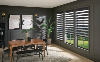 Zebra Shades vs. Sheer Shades: The Differences